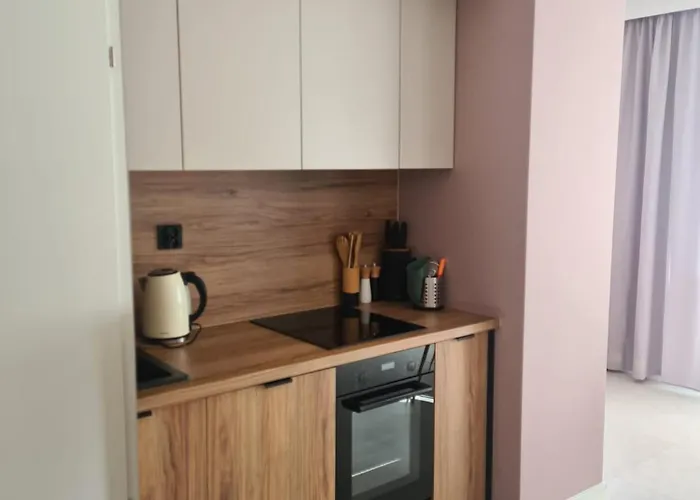 Appartamento Z Widokiem Na Sniezke